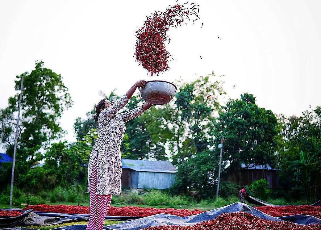 A visitor tasting a fresh spice on the farm